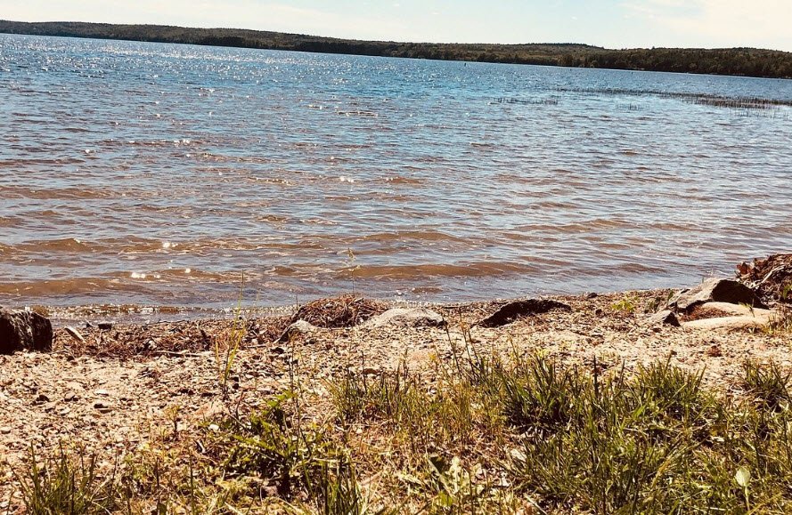 Damariscotta Lake State Park, Maine, USA